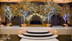 Best Marriage Venue in North Delhi for marriage